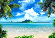 Xe Ghép Nam Định Vĩnh Phúc: Dịch Vụ Tiện Lợi, An Toàn và Tiết Kiệm