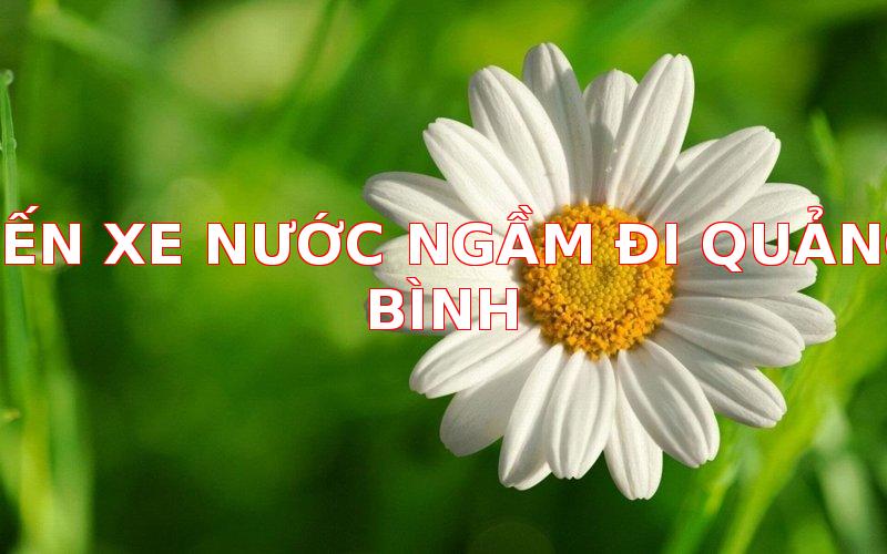 1076-ben-xe-nuoc-ngam-di-quang-binh