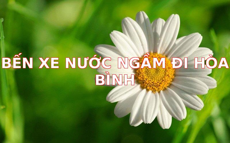 1081-ben-xe-nuoc-ngam-di-hoa-binh