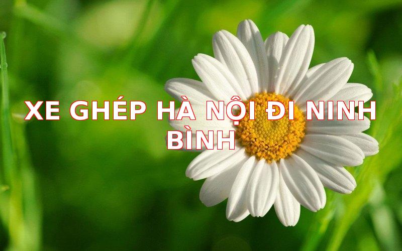 1094-xe-ghep-ha-noi-di-ninh-binh