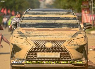 Xe Hơi Bị Ngập Nước: Nên Cứu Hay Bán? Chuyên Gia 18 Năm Chia Sẻ