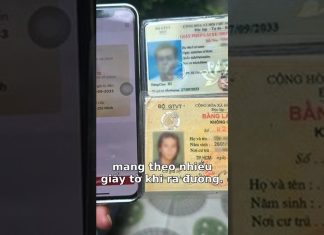 Đổi Bằng Lái Xe Giấy Sang Thẻ PET: Lợi Ích Bất Ngờ!