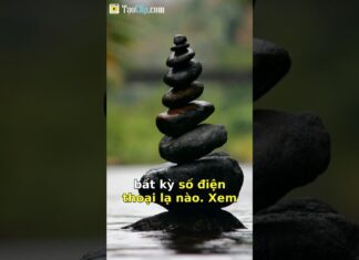 Giải Pháp Khi Bị Số Lạ Gọi Lừa Đảo Quấy Rối