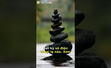 Giải Pháp Khi Bị Số Lạ Gọi Lừa Đảo Quấy Rối