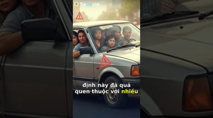 Xe 4 Chỗ Chở Mấy Người? Thay Đổi Lớn Từ 2025!